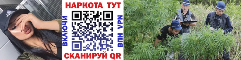Купить закладку Моздок Амфетамин МЕФ Каннабис Кокаин