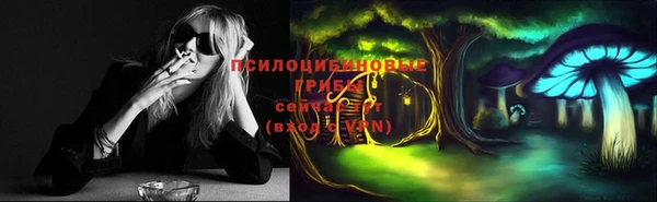 молекула духа Новокубанск