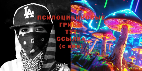 молекула духа Новокубанск