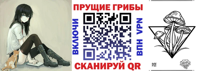 kraken рабочий сайт  Моздок  Галлюциногенные грибы прущие грибы  где найти  