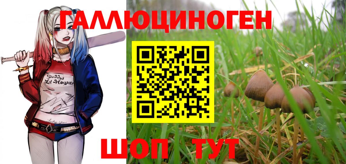 Галлюциногенные грибы GOLDEN TEACHER Моздок